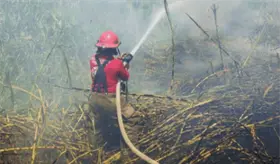 Sofocan bomberos del IPCET 2 incendios de pastizal en Centro