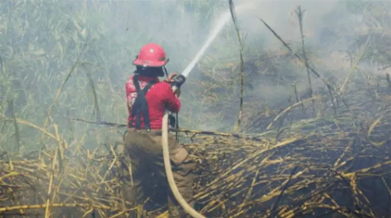 Sofocan bomberos del IPCET 2 incendios de pastizal en Centro
