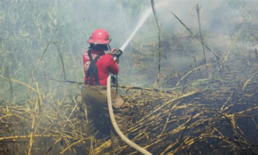 Sofocan bomberos del IPCET 2 incendios de pastizal en Centro