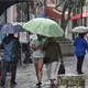 Durante &uacute;ltimo cuatrimestre de 2026 se presentar&aacute;n 56 frentes fr&iacute;os en Tabasco; termina la can&iacute;cula: PC