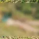 Hallan hombre muerto entre maleza de predio en la rancher&iacute;a Chivalito de Macuspana