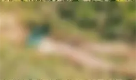 Hallan hombre muerto entre maleza de predio en la rancher&iacute;a Chivalito, Macuspana