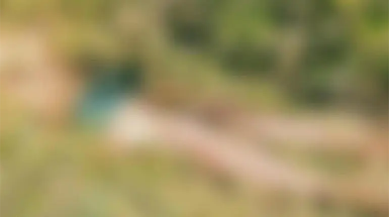 Hallan hombre muerto entre maleza de predio en la rancher&iacute;a Chivalito, Macuspana