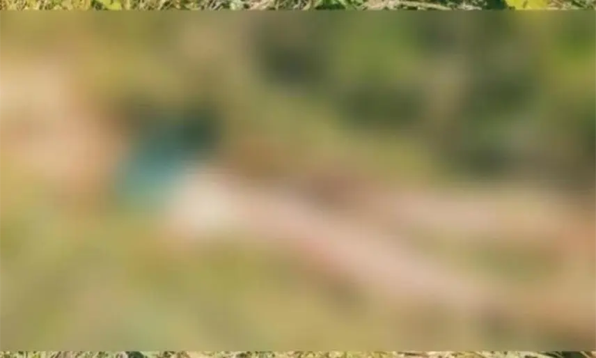 Hallan hombre muerto entre maleza de predio en la ranchería Chivalito, Macuspana