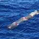 Pescadores encuentran torpedo flotando en costas de Ensenada, Baja California
