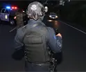 7 mil litros de huachicol asegurados y 14 personas en 4 d&iacute;as, reporta FIRT Olmeca