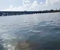 Reportan pescadores que sigue derrame de di&eacute;sel en Progreso, Yucat&aacute;n