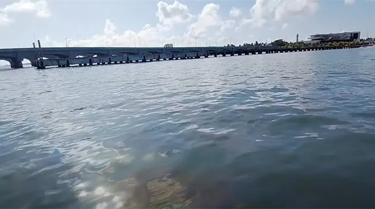 Reportan pescadores que sigue derrame de di&eacute;sel en Progreso, Yucat&aacute;n