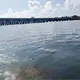 Reportan pescadores que sigue derrame de di&eacute;sel en Progreso, Yucat&aacute;n