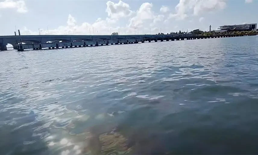 Reportan pescadores que sigue derrame de diésel en Progreso, Yucatán