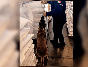Decomisan en Lázaro Cárdenas, Michoacán, 27 toneladas de ácido tartárico procedente de Shanghái