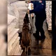 Decomisan en L&aacute;zaro C&aacute;rdenas, Michoac&aacute;n, 27 toneladas de &aacute;cido tart&aacute;rico procedente de Shangh&aacute;i