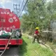 &Eacute;xito de la prevenci&oacute;n y la protecci&oacute;n civil ante desastres es la capacitaci&oacute;n: UJAT en inauguraci&oacute;n de foro