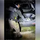 Caen 8 presuntos generadores de violencia con armas largas y drogas en Centro; son originarios de Jalisco y Veracruz