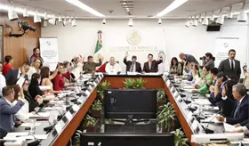 Avanza en comisiones del Senado reforma "anti memes"