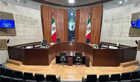 Magistrado propone revertir "bateo" del INE para analizar actos anticipados de campa&ntilde;a de morenistas