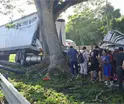 Tr&aacute;iler choca contra &aacute;rbol en la C&aacute;rdenas-Villahermosa; operador es rescatado