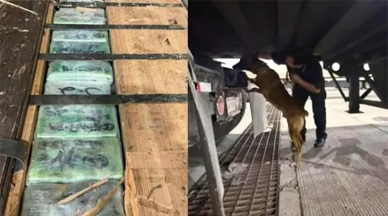 Decomisan casi 250 kilos de coca&iacute;na y fentanilo ocultos en un tr&aacute;iler en garita de Tijuana
