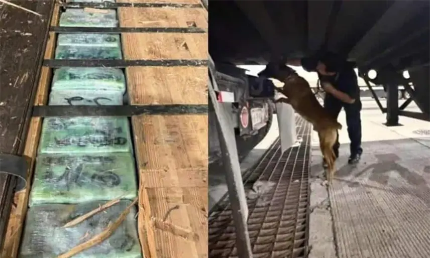 Decomisan casi 250 kilos de cocaína y fentanilo ocultos en un tráiler en garita de Tijuana