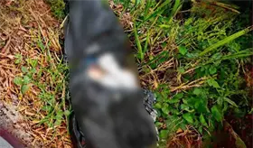 Localizan a persona embolsada en la rancher&iacute;a Lagartera