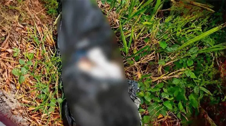 Localizan a persona embolsada en la rancher&iacute;a Lagartera