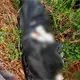 Localizan a persona embolsada en la rancher&iacute;a Lagartera