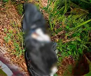 Localizan a persona embolsada en la rancher&iacute;a Lagartera