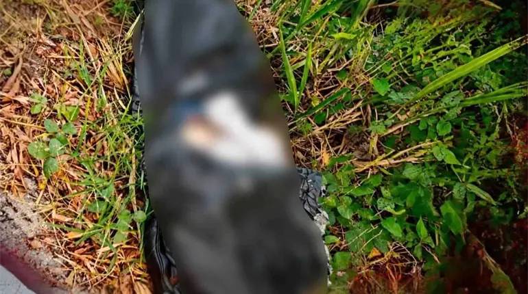 Localizan a persona embolsada en la rancher&iacute;a Lagartera
