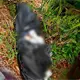 Localizan a persona embolsada en la rancher&iacute;a Lagartera