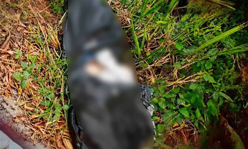 Localizan a persona embolsada en la ranchería Lagartera