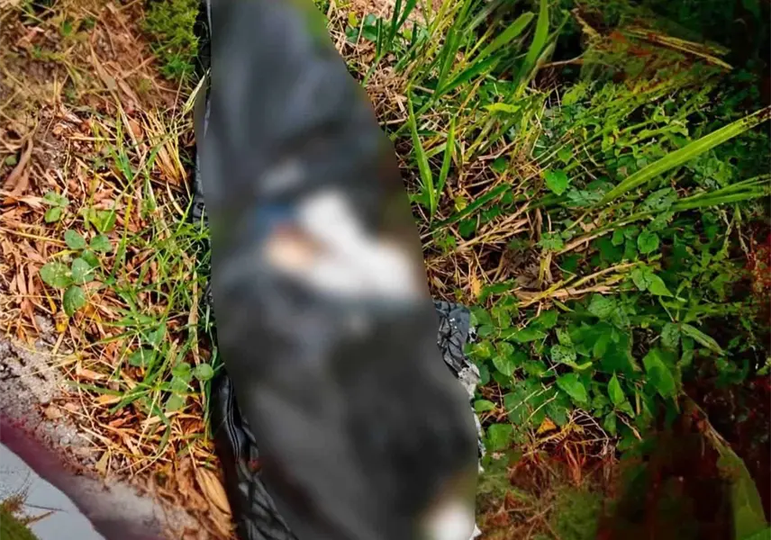 Localizan a persona embolsada en la rancher&iacute;a Lagartera