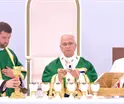 Papa Le&oacute;n XIV pide a la feligres&iacute;a dedicar los Rosarios del mes de octubre por el fin de las guerras en el mundo