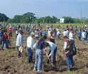 Ampl&iacute;a gobierno meta en jornada de reforestaci&oacute;n; plantar&aacute;n 2.5 millones de &aacute;rboles