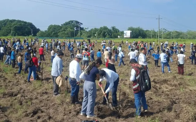 Amplía gobierno meta en jornada de reforestación; plantarán 2.5 millones de árboles