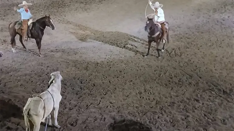 Rancho Don Walter y Hern&aacute;ndez Dom&iacute;nguez, los mejores del Torneo de Charrer&iacute;a en Nacajuca