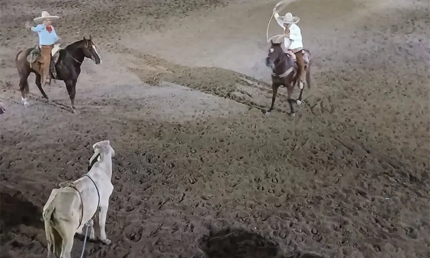 Rancho Don Walter y Hernández Domínguez, los mejores del Torneo de Charrería en Nacajuca