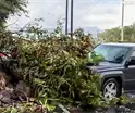 Atropellan a reportera y camar&oacute;grafo durante transmisi&oacute;n en vivo en Monterrey