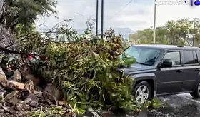 Atropellan a reportera y camar&oacute;grafo en transmisi&oacute;n en vivo en Monterrey