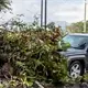 Atropellan a reportera y camar&oacute;grafo durante transmisi&oacute;n en vivo en Monterrey