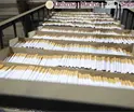 Aseguran 60 toneladas de cigarros ap&oacute;crifos en Edomex; detienen a dos canadienses