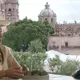 Corresponde a autoridades investigar amenazas en mi contra: Kathia Bolio