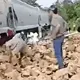 Rapi&ntilde;an tr&aacute;iler que transportaba cerveza en Veracruz tras ser impactado por tren