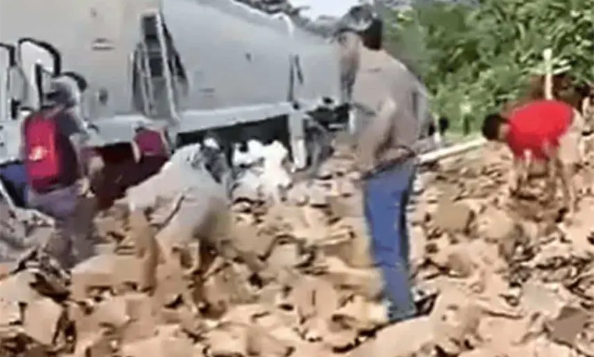 Tren impacta a tráiler que transportaba cerveza en Veracruz; hubo rapiña