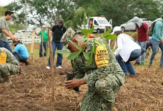 Realizan segunda Jornada de Reforestaci&oacute;n en los 17 municipios de Tabasco