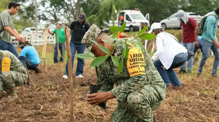 Realizan segunda Jornada de Reforestaci&oacute;n "Lo que siembres hoy, florecer&aacute; ma&ntilde;ana" en 17 municipios de Tabasco
