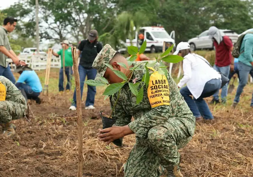 Realizan segunda Jornada de Reforestación "Lo que siembres hoy, florecerá mañana" en 17 municipios de Tabasco Realizan segunda Jornada de Reforestación "Lo que siembres hoy, florecerá mañana" en 17 municipios de Tabasco