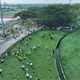 Meta en Centro para la Jornada Estatal de Reforestaci&oacute;n es plantar 147 mil &aacute;rboles antes de cerrar 2026