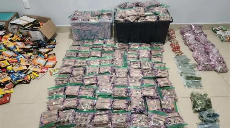 Incautan m&aacute;s de mil 800 productos con marihuana en predio de Mazatl&aacute;n