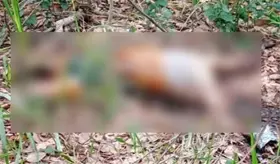 Lo encuentran decapitado y en descomposici&oacute;n en Jalpa