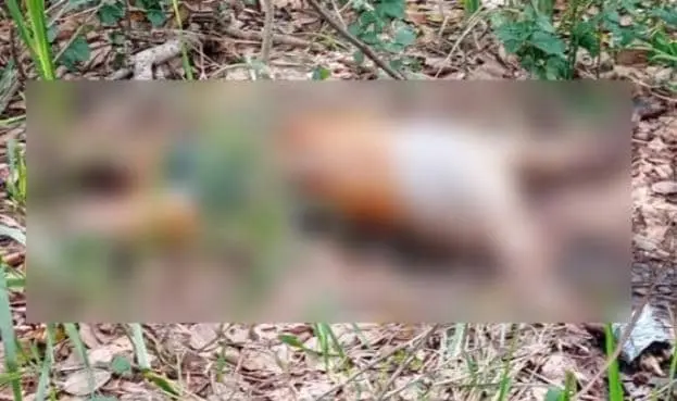 Hallan cuerpo decapitado y en estado de descomposición en Jalpa de Méndez